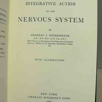 Integrated action of the nervous system