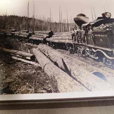Logging train. Picture