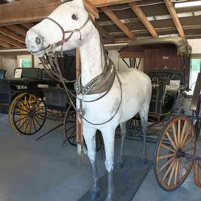 Horse mannequin