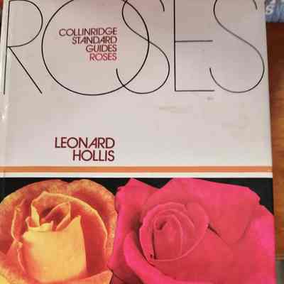 Roses