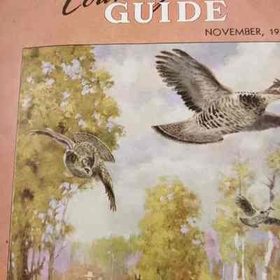 Country Guide