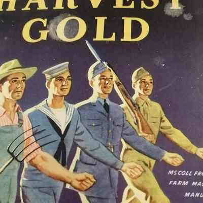 Harvest gold