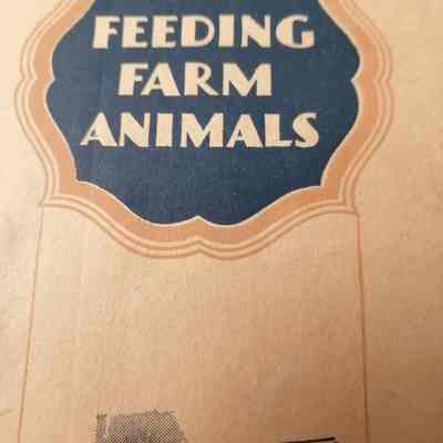 Feeding farm animals
