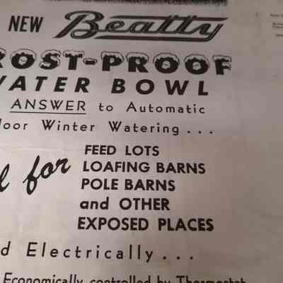 New Beatty frost-proof water bowl