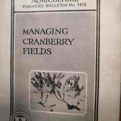 Managing cranberry fields