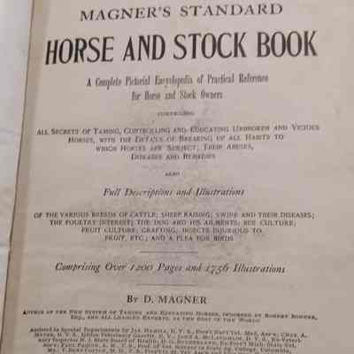 Standard horse and stock book