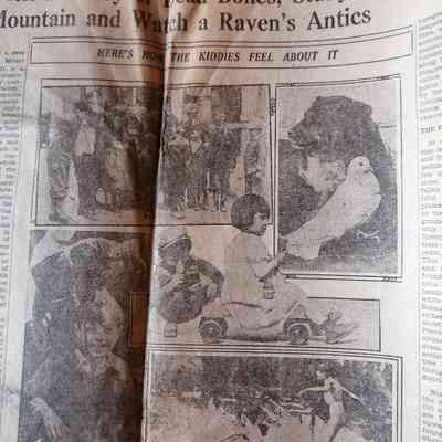 Victoria Daily Times