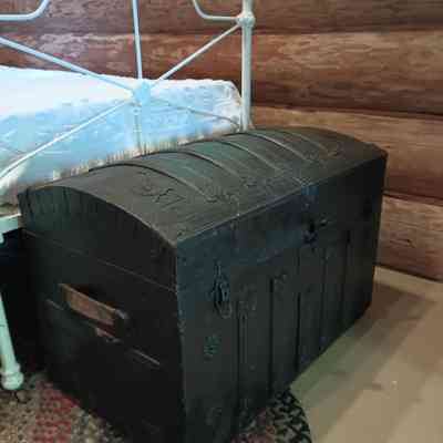 Trunk