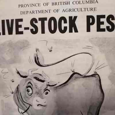 Live-stock pests
