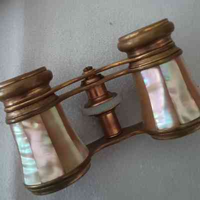 Opera glasses and case