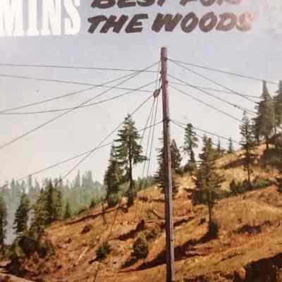 Cummins, best for the woods