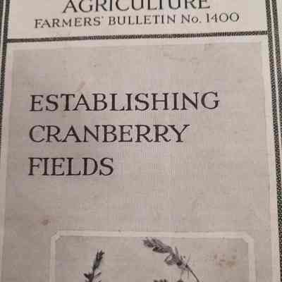 Establishing cranberry fields