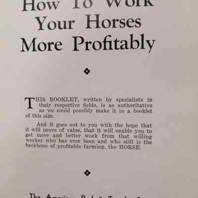How to work your horses more profitably
