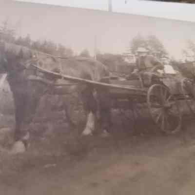 Derry Farm, Old West Saanich Road. 1916. Photograph