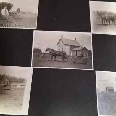 Horse and Buggies. Photgraph