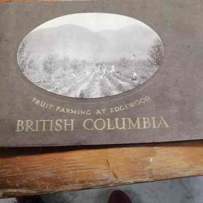 Fruit farming at Edgewood, British Columbia