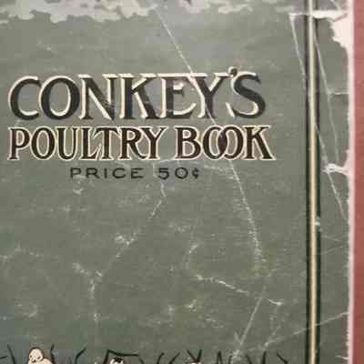 Conkey's poultry book