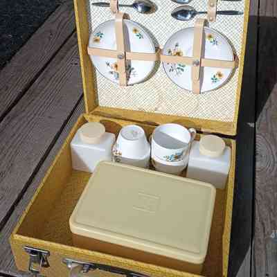 Picnic set and case