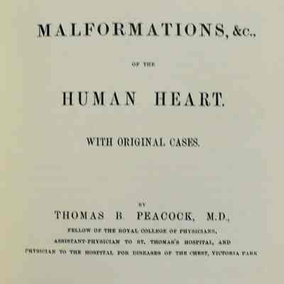 On malformations etc., of the human heart with original casesJohn Churchill