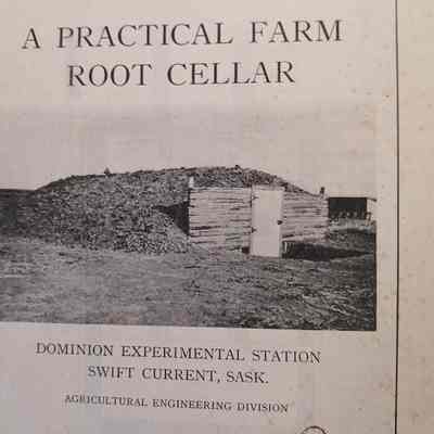 Practical farm root cellar