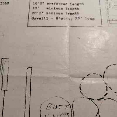 Log lengths