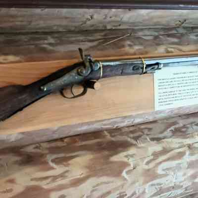 Shotgun