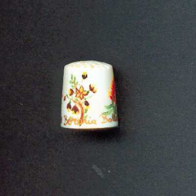 Thimble 2098
