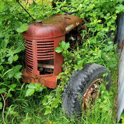 Tractor - David Brown, Model 30D, Year 1953 - 1957