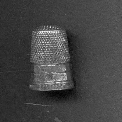 Thimble 2099