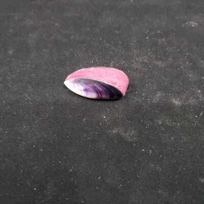 Pincushion - K1578