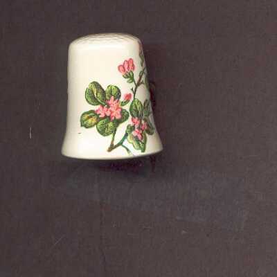 Thimble 0902