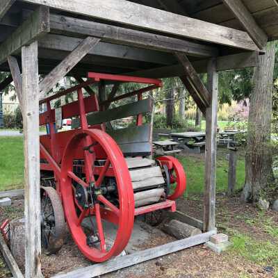 St. Albans Horse Powered treadmill 1898