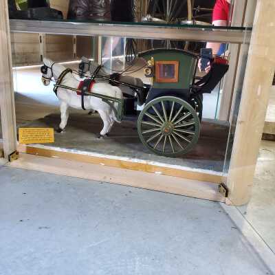 Model - Hansom Cab with One Horse