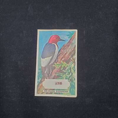 Needle Book - K0718