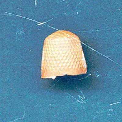Thimble 2597