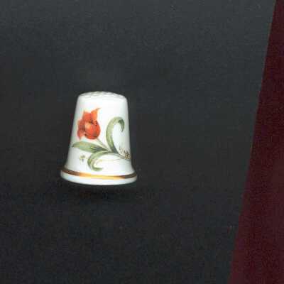 Thimble 1213