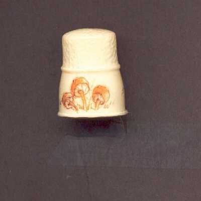 Thimble 0668