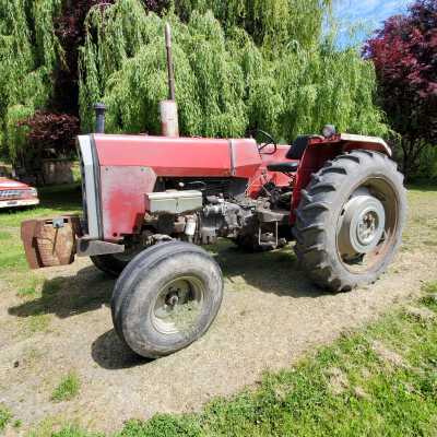 Tractor - Massey Ferguson, Model 290, Year 1984