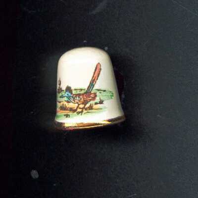 Thimble 1576