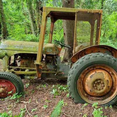 Tractor - Massey Ferguson, Model 35 Turf, 1962 - 1964