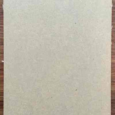 Cardboard backing with possible filing notation.