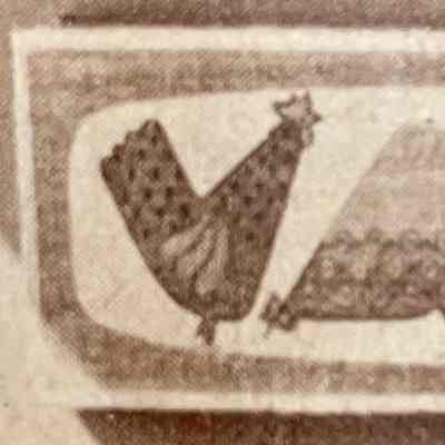 Wall Board: Chickens 703