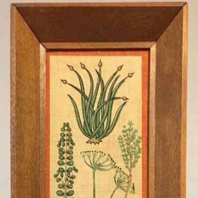 Framed print: Herbs, one of a pair with Bread.
