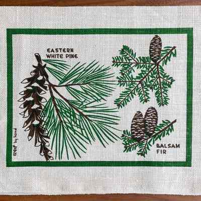 Pillow: Pinecones (TK)