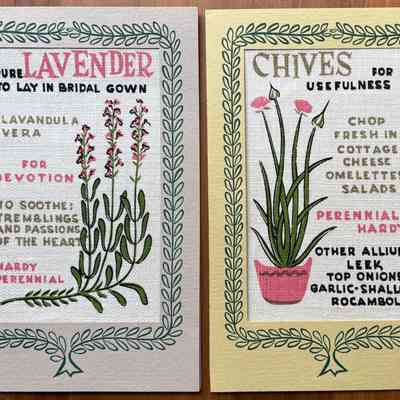 Notecard: Herb Notes 236