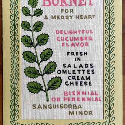 Burnet notecard.: Collection of Sara Leeper.
