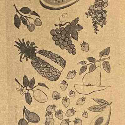 Matching towel/wallhanging, Unforbidden Fruit 227.: From “Country Prints by Robert Darr Wert and Neighbors”, p.10, c.1962.