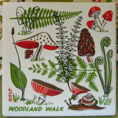 Tile: Woodland Walk 561