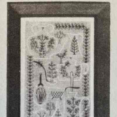 Print: Copper Herbs 712-1