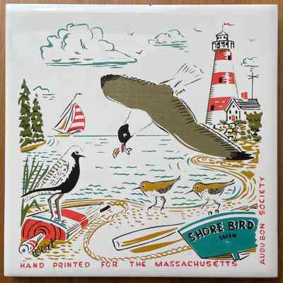 Tile: Shore Bird, Massachusetts Audubon Society